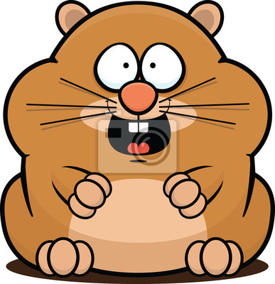 Detail Comic Hamster Nomer 15