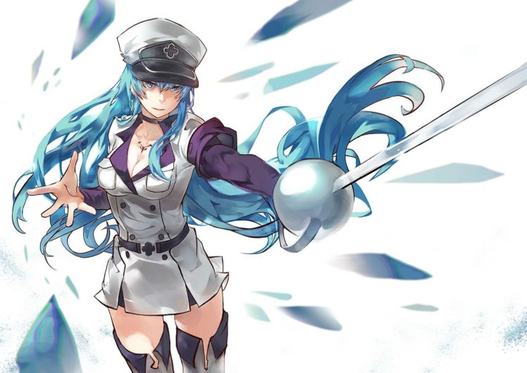 Detail Esdeath Wallpaper Nomer 25