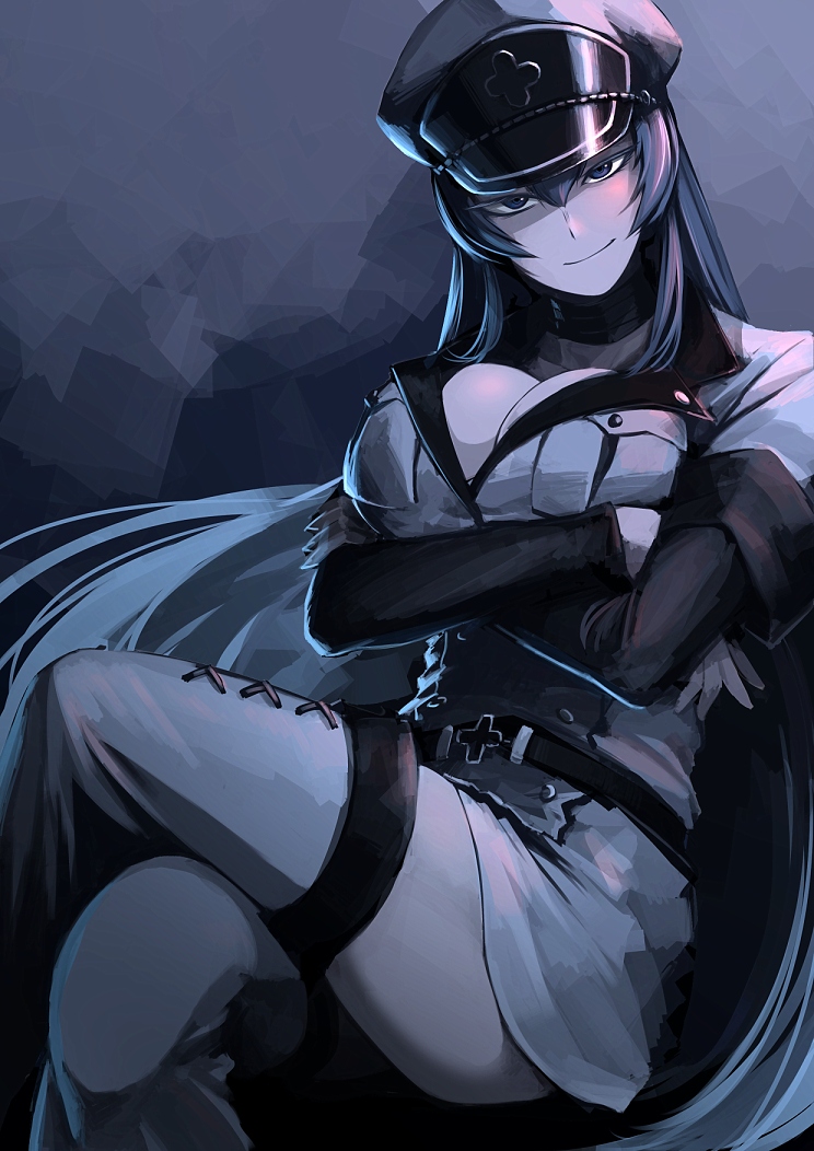 Detail Esdeath Wallpaper Nomer 49