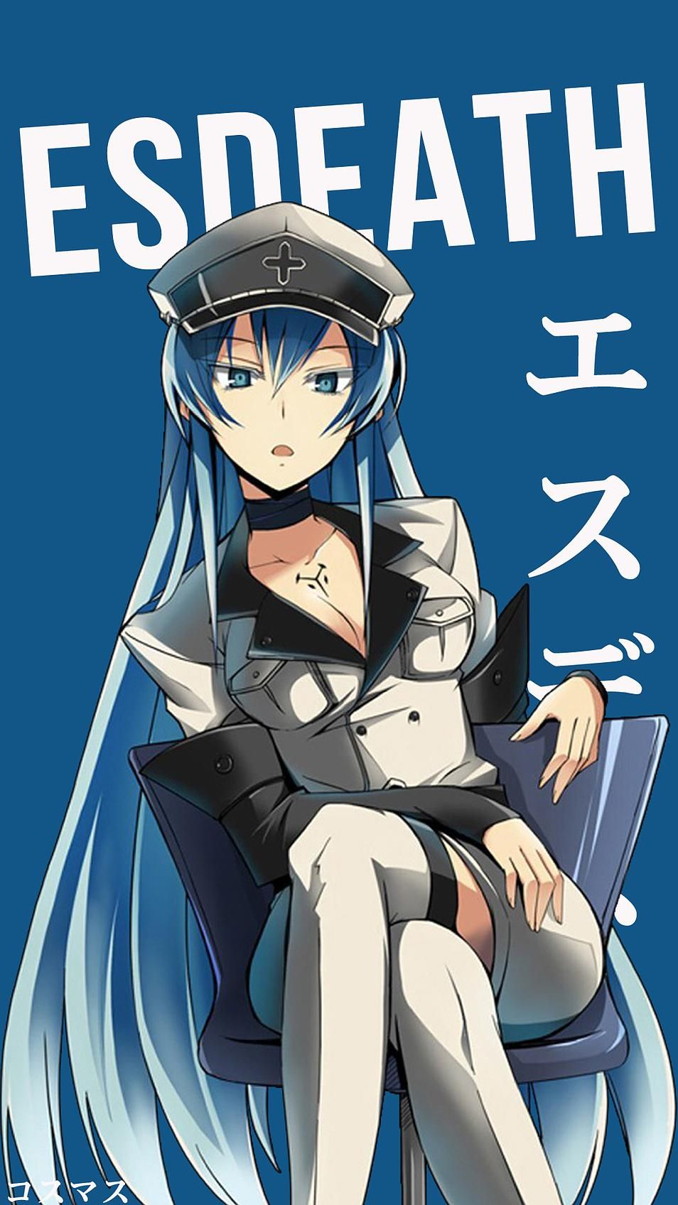 Download Esdeath Wallpaper Nomer 7