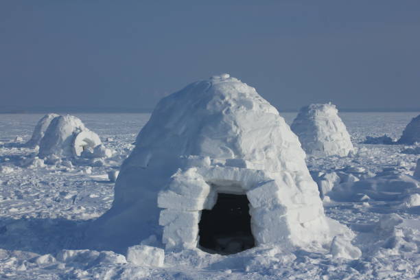 Detail Eskimo Igloo Images Nomer 11