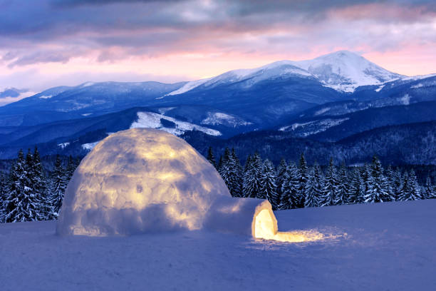 Detail Eskimo Igloo Images Nomer 16