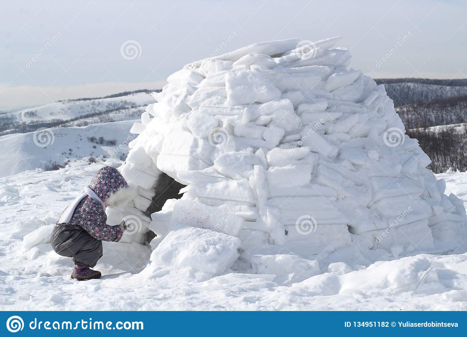 Detail Eskimo Igloo Images Nomer 30