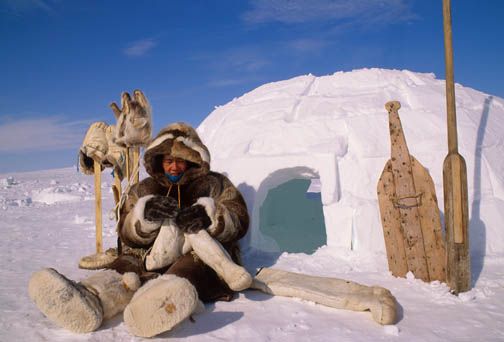 Detail Eskimo Igloo Images Nomer 44