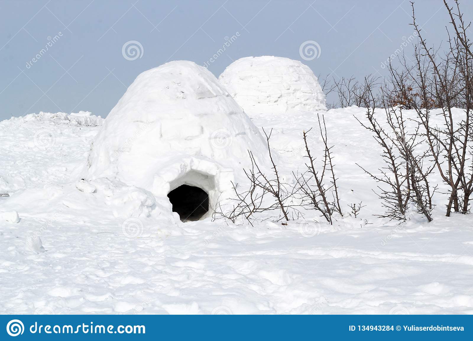 Detail Eskimo Igloo Picture Nomer 25