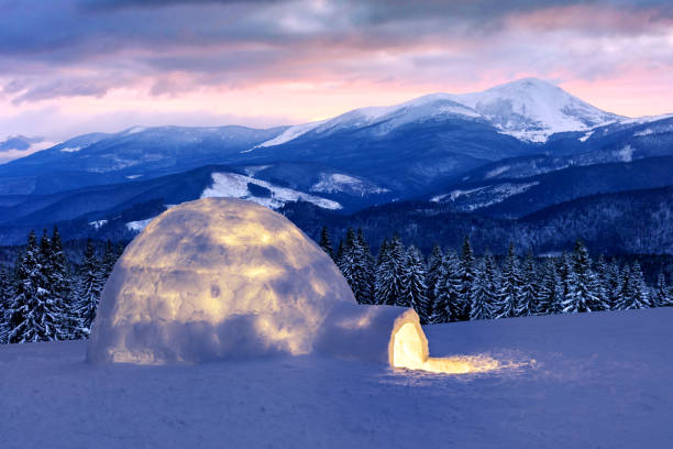 Detail Eskimo Igloos Pictures Nomer 14