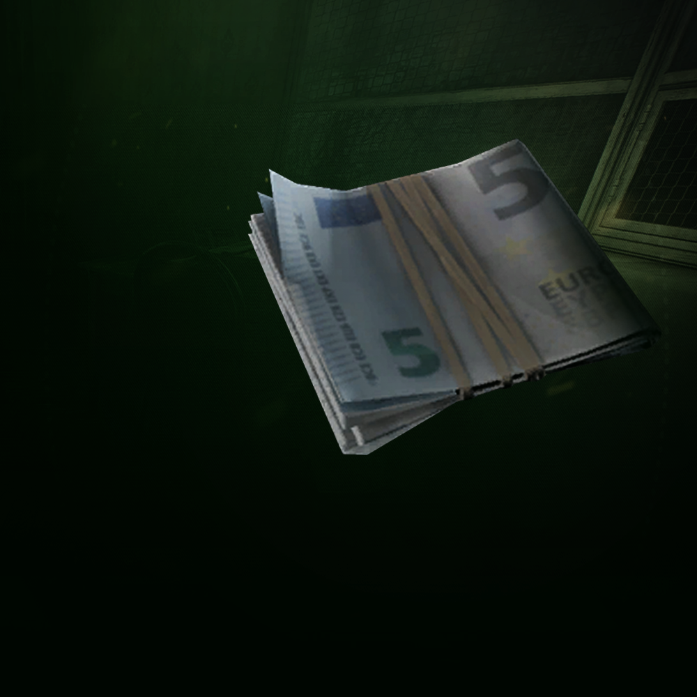 Detail Euros To Rubles Tarkov Nomer 21