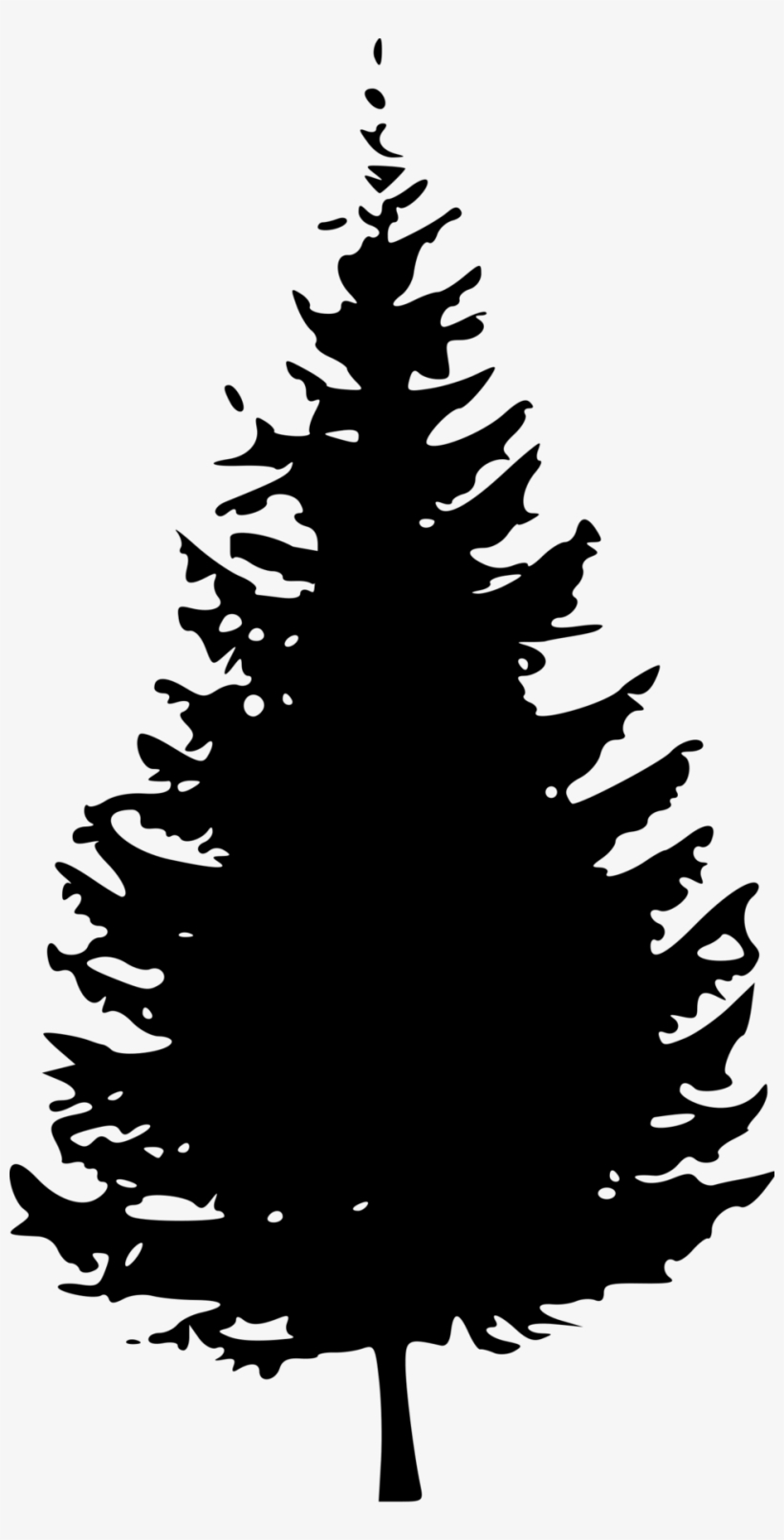 Detail Evergreen Tree Png Nomer 14