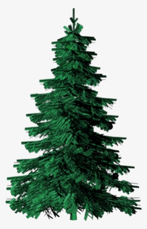 Detail Evergreen Tree Png Nomer 43