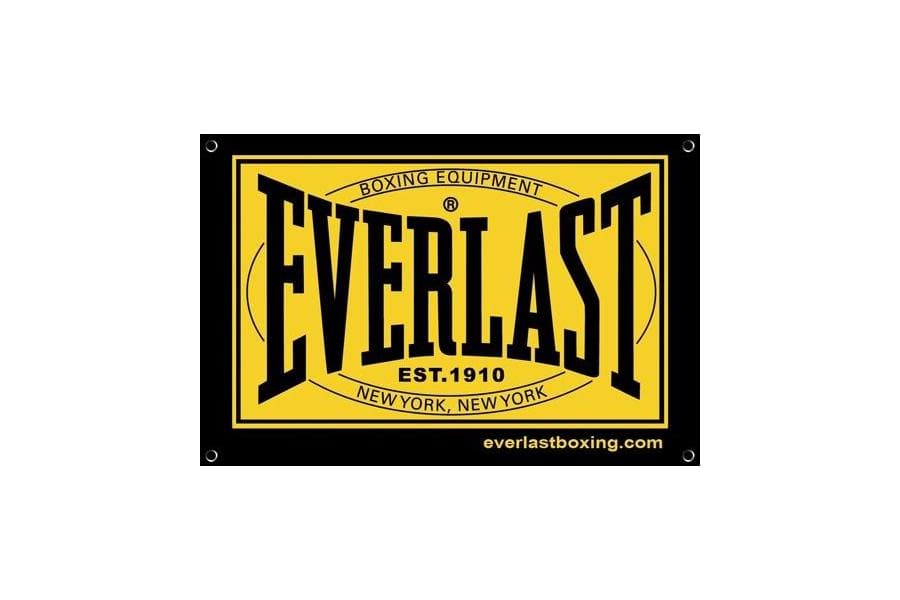 Detail Everlast Logo Nomer 25