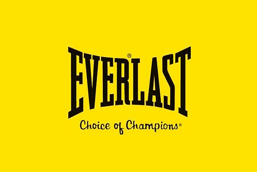 Detail Everlast Logo Nomer 42