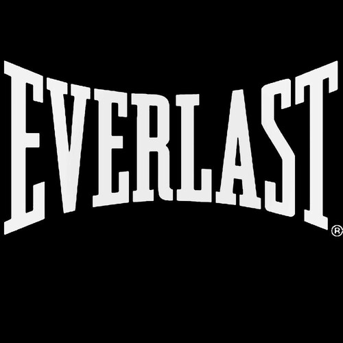 Detail Everlast Logo Nomer 10