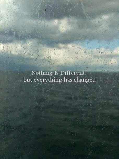 Detail Everything Has Changed Quotes Nomer 23