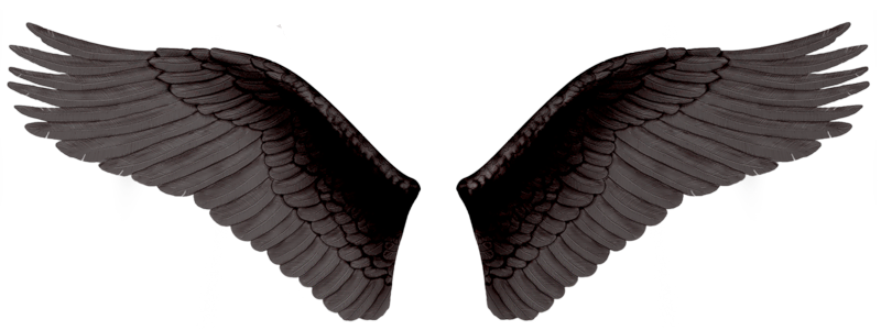 Detail Evil Wings Nomer 21