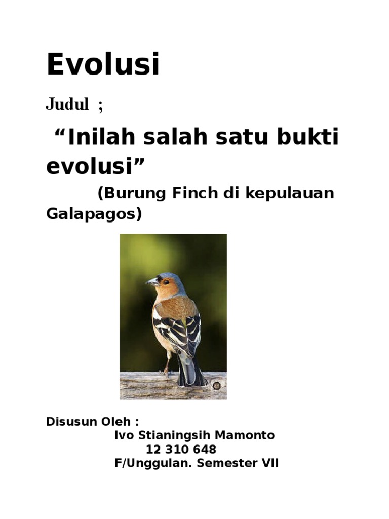 Detail Evolusi Burung Finch Nomer 44