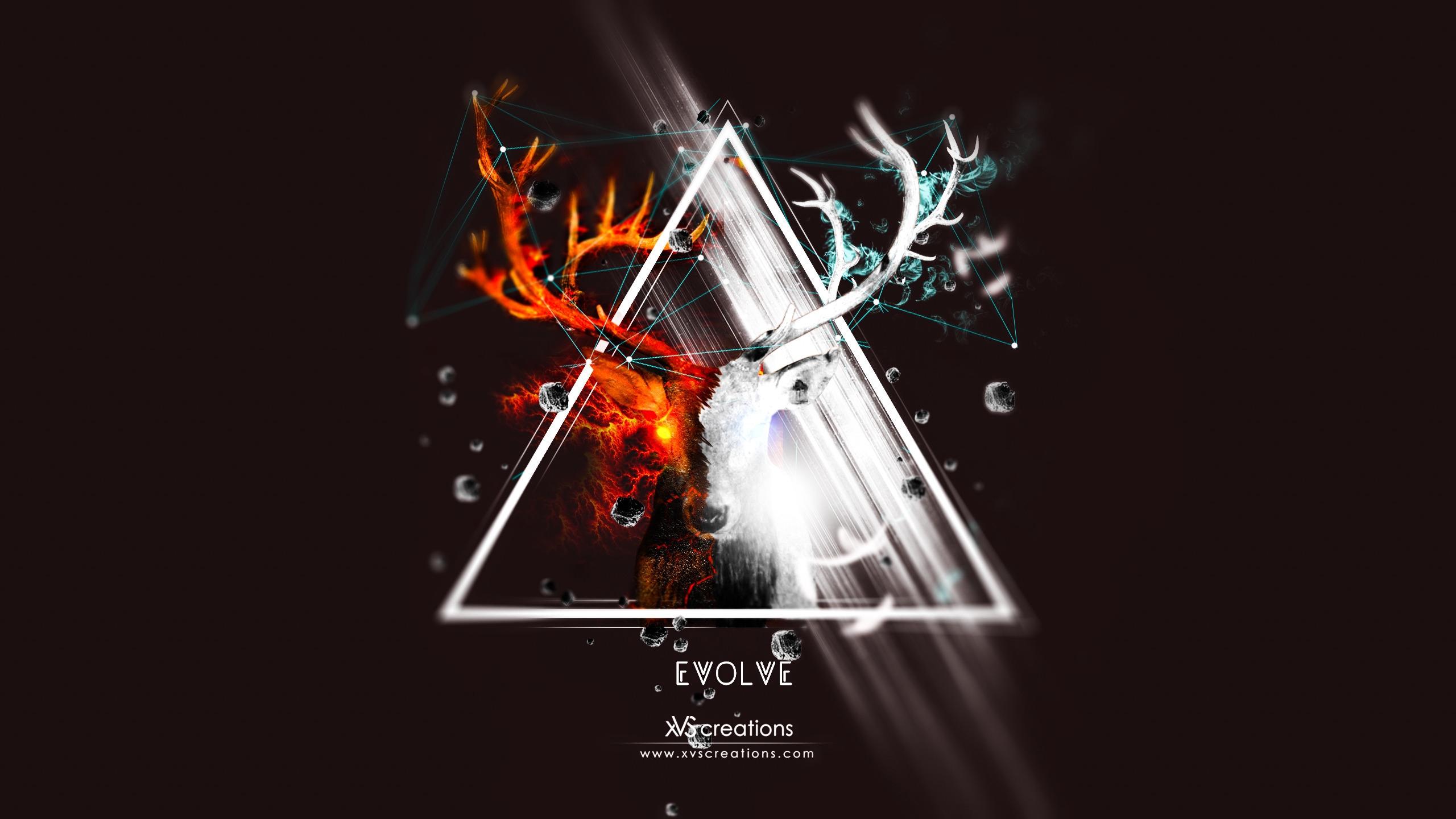 Detail Evolve Wallpapers Nomer 25