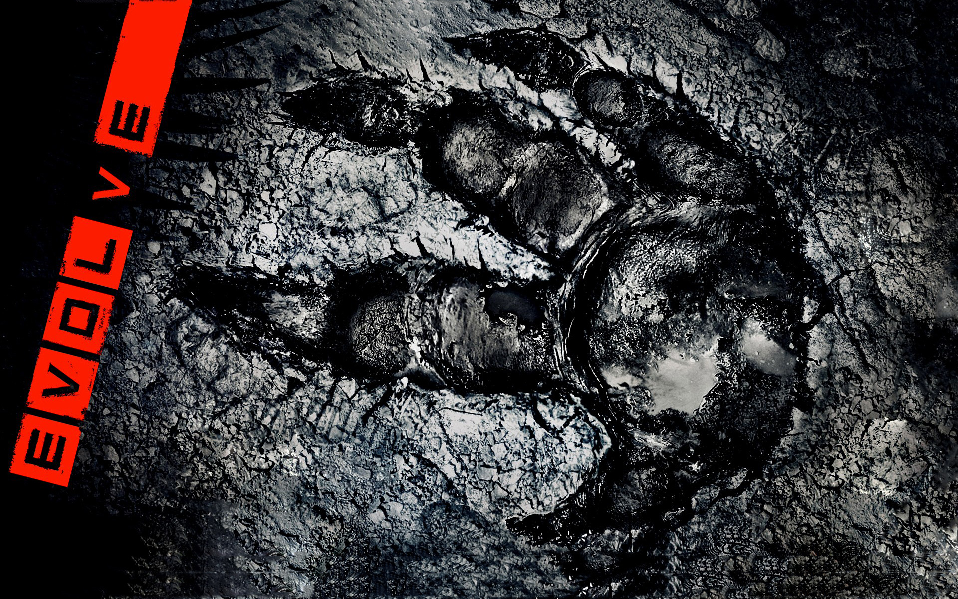 Detail Evolve Wallpapers Nomer 39