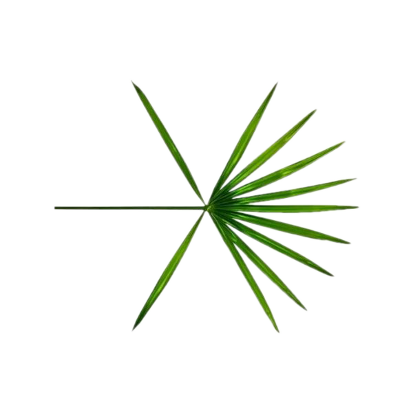 Detail Exo Kokobop Logo Png Nomer 2