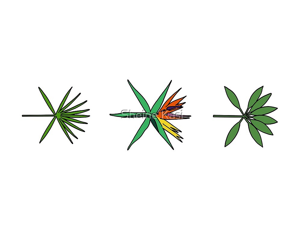 Detail Exo Kokobop Logo Png Nomer 33