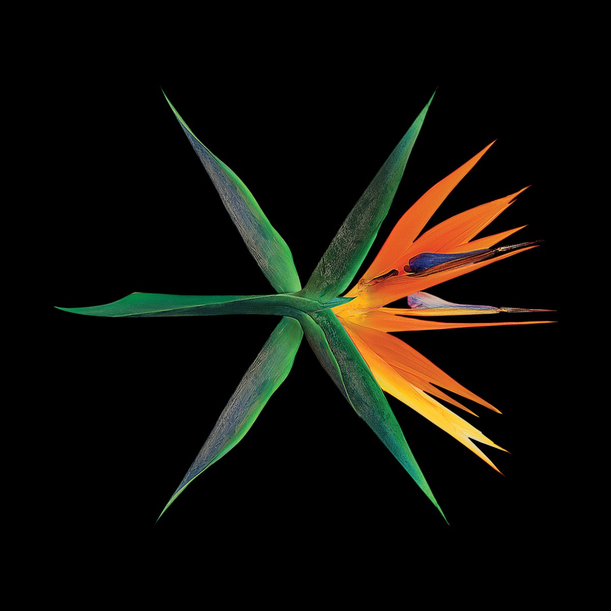 Detail Exo Kokobop Logo Png Nomer 58