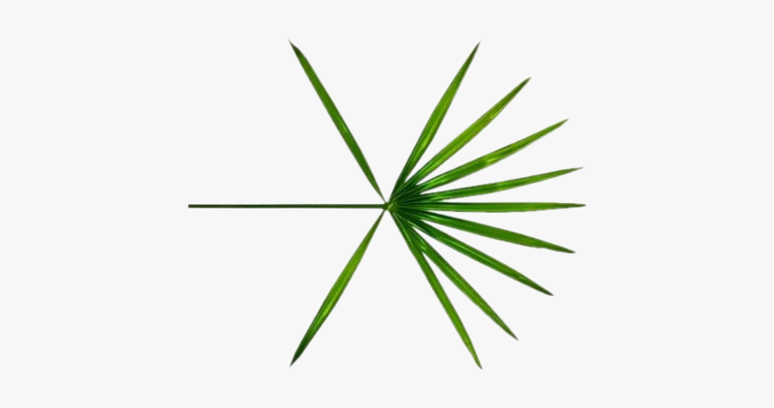 Detail Exo Logo Transparent Nomer 27