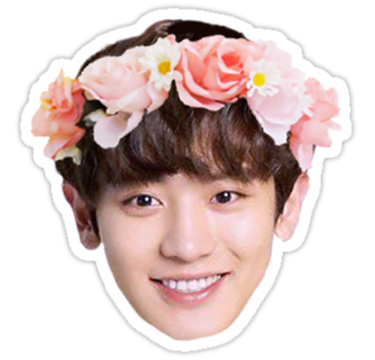 Detail Exo Sticker Png Nomer 2