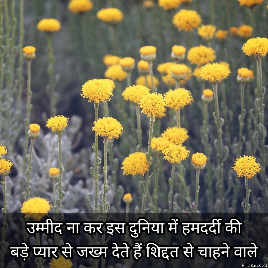 Detail Expectation Quotes In Hindi Nomer 28