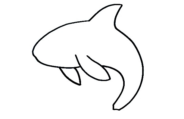Detail Orca Zeichnen Bleistift Nomer 4
