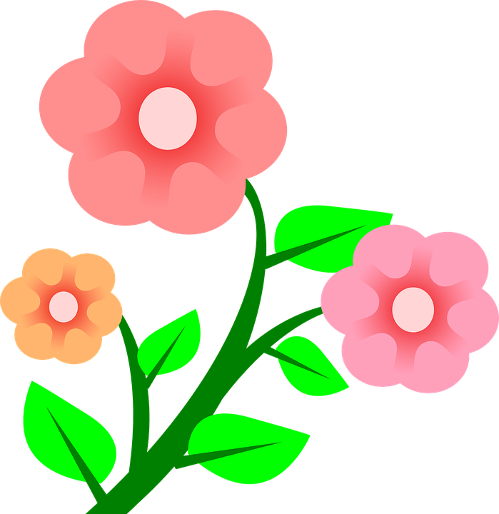 Detail Rosa Blumen Nomer 14