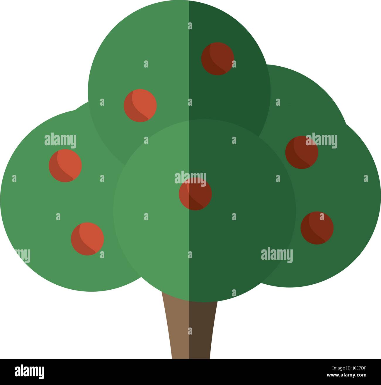 Detail Sombra De Arbol Nomer 22