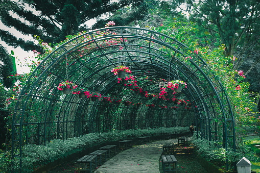 Detail Background Taman Nomer 35