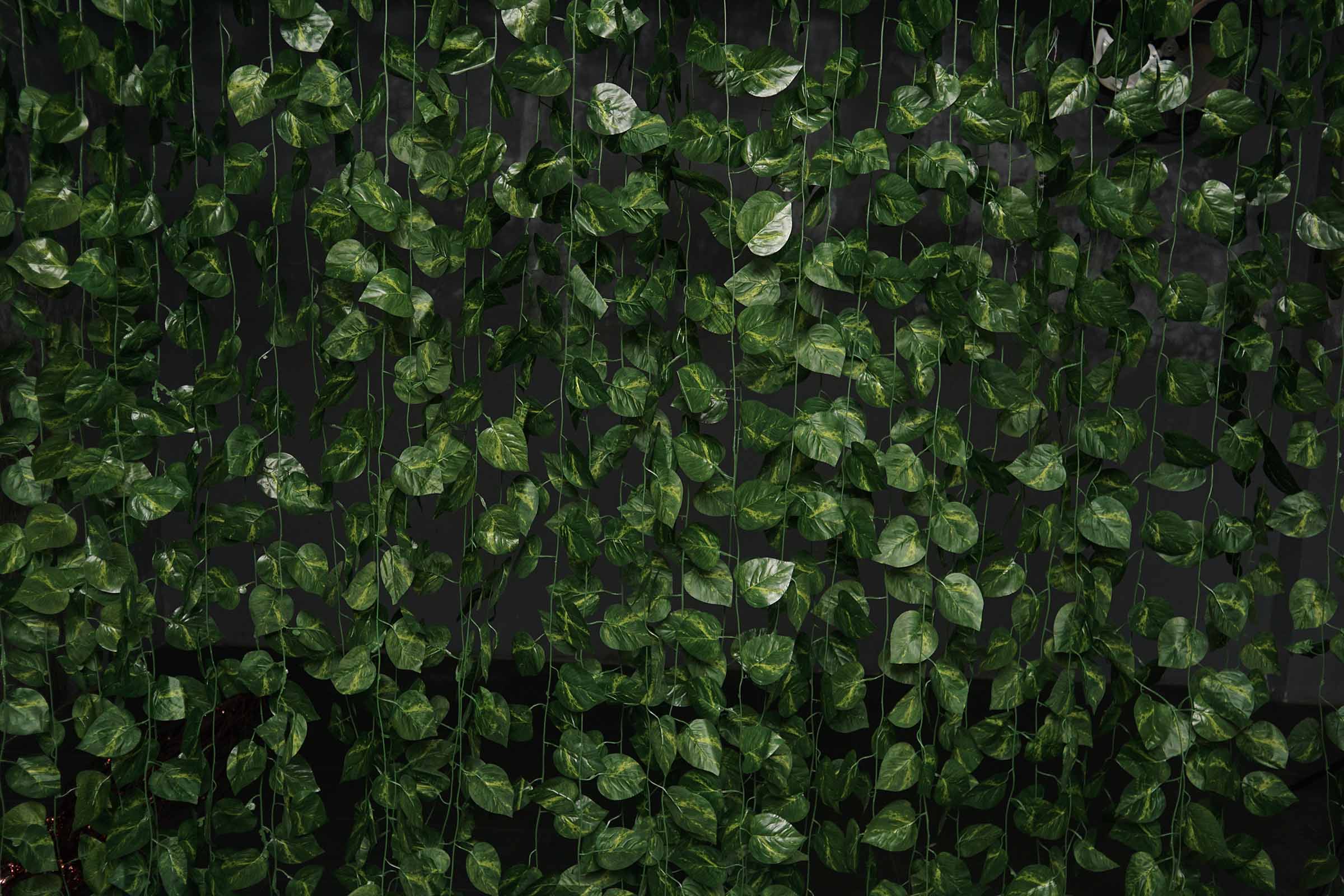 Detail Background Taman Nomer 39