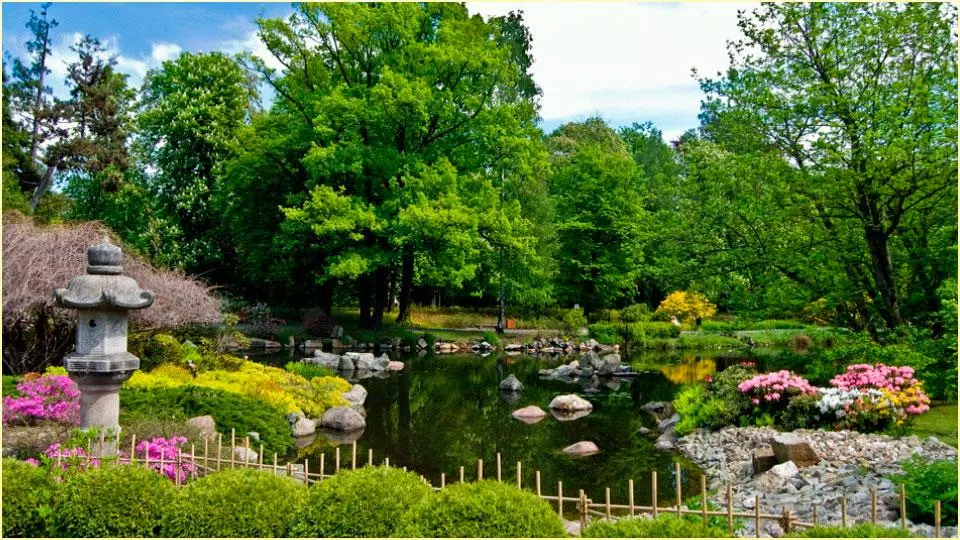 Detail Background Taman Hd Nomer 33