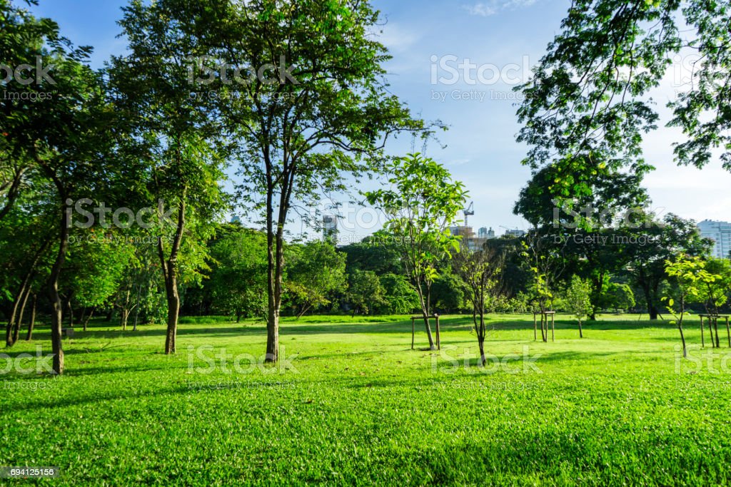 Detail Background Taman Hijau Nomer 3