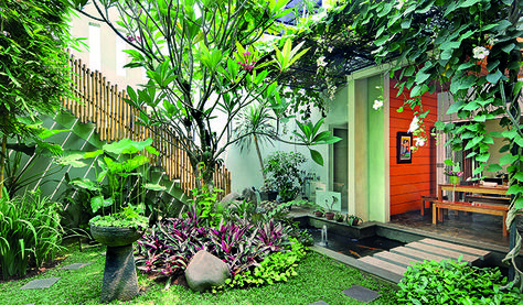 Background Taman Rumah - KibrisPDR