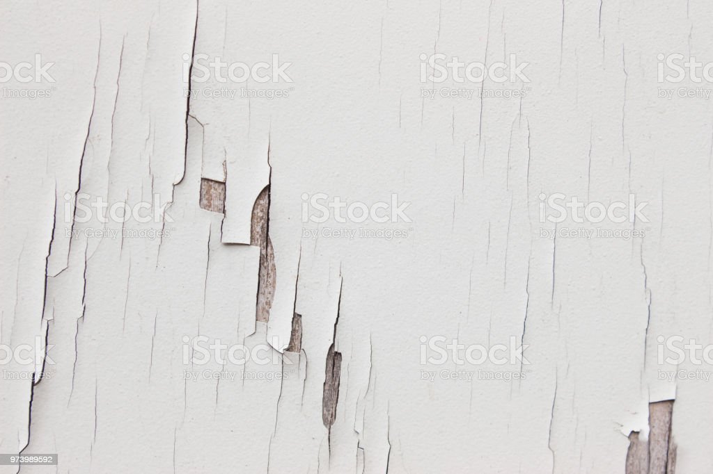 Detail Background Tekstur Putih Nomer 48
