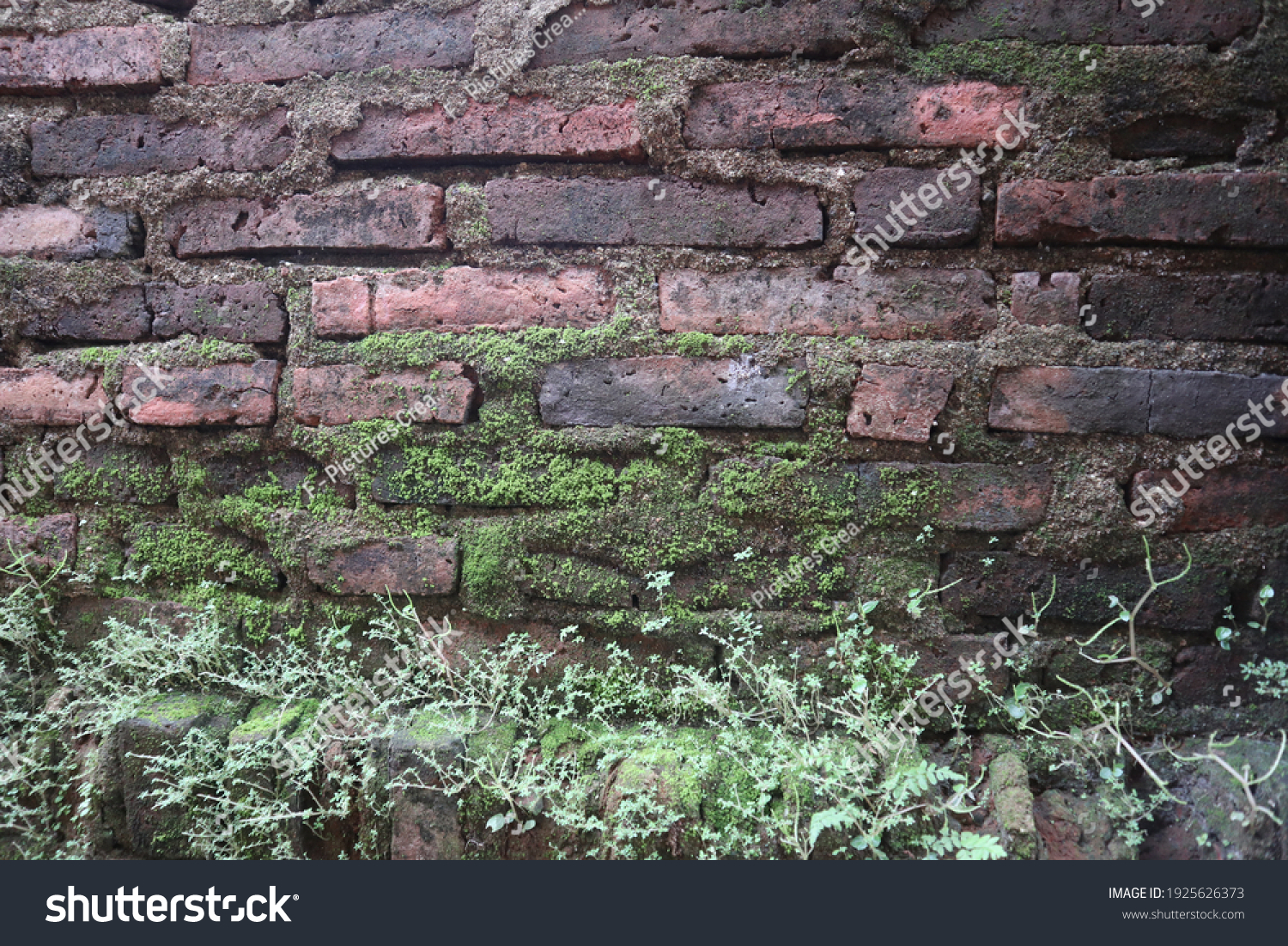 Detail Background Tembok Bata Nomer 21