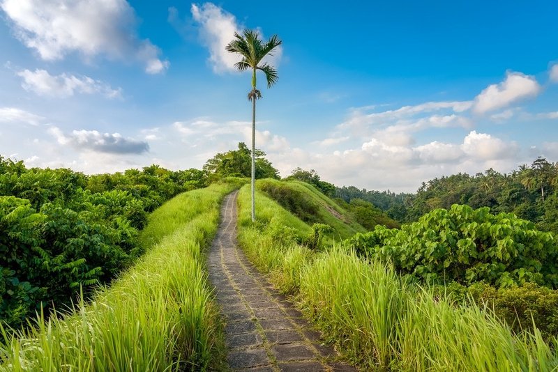 Detail Background Tempat Wisata Nomer 25