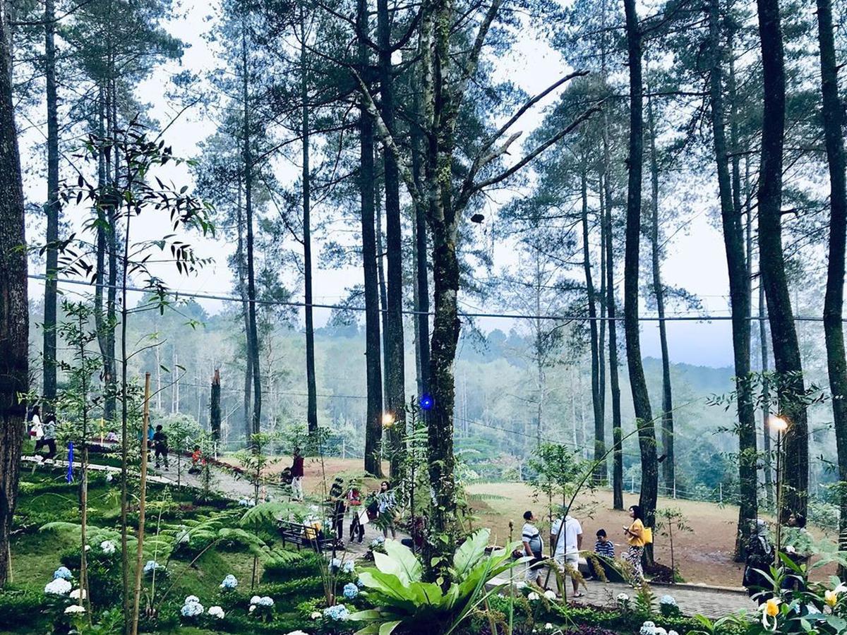 Detail Background Tempat Wisata Nomer 38