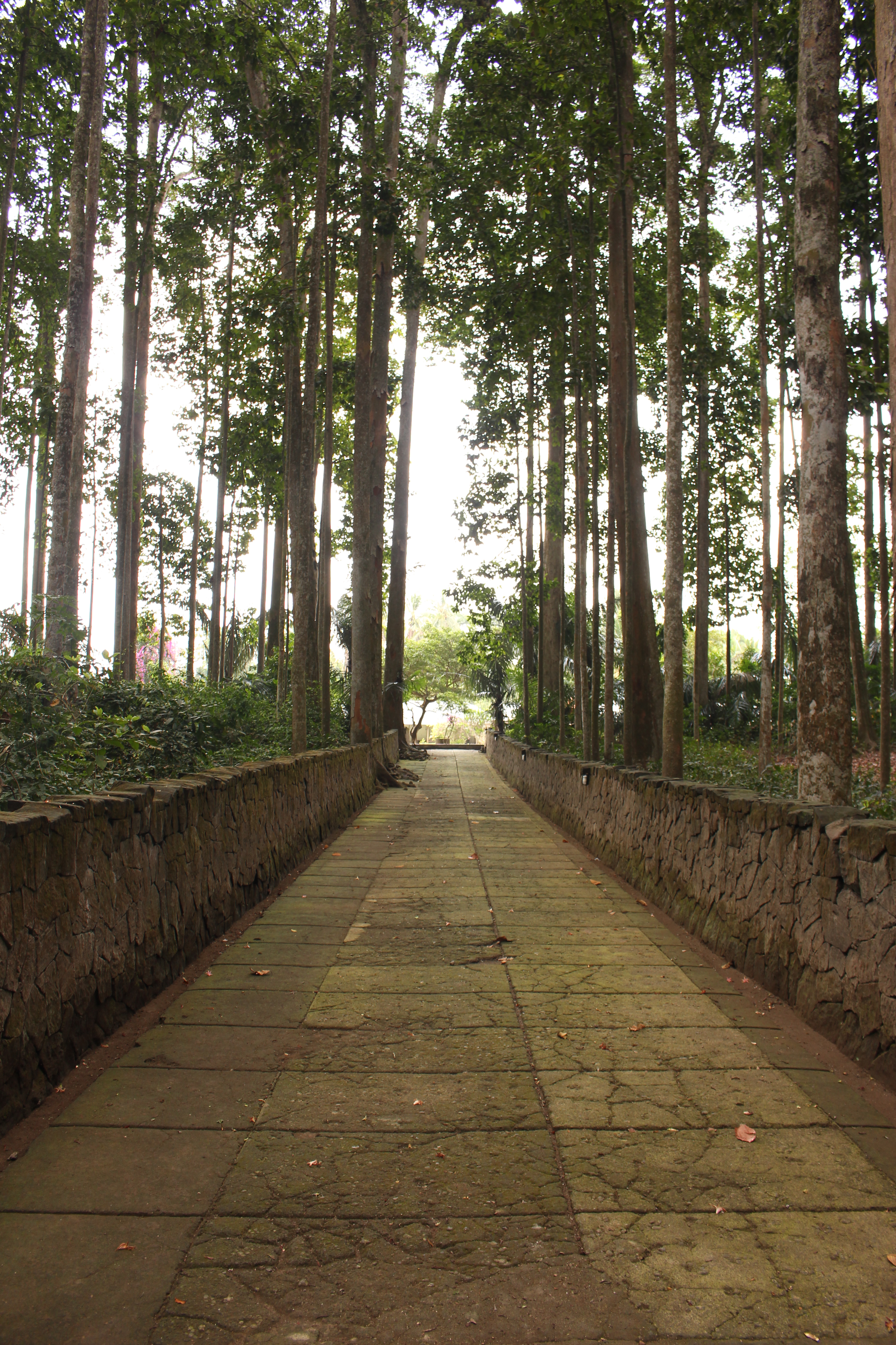 Detail Background Tempat Wisata Nomer 40