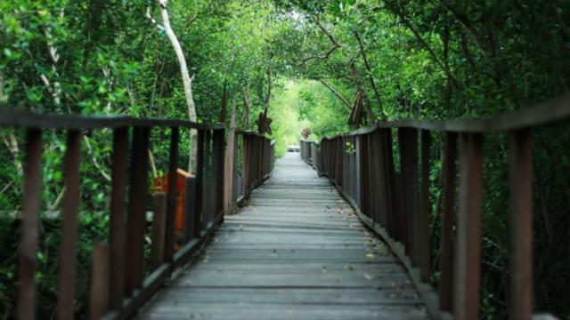 Detail Background Tempat Wisata Nomer 8