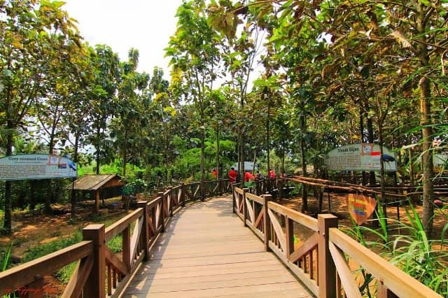Detail Background Tempat Wisata Nomer 9