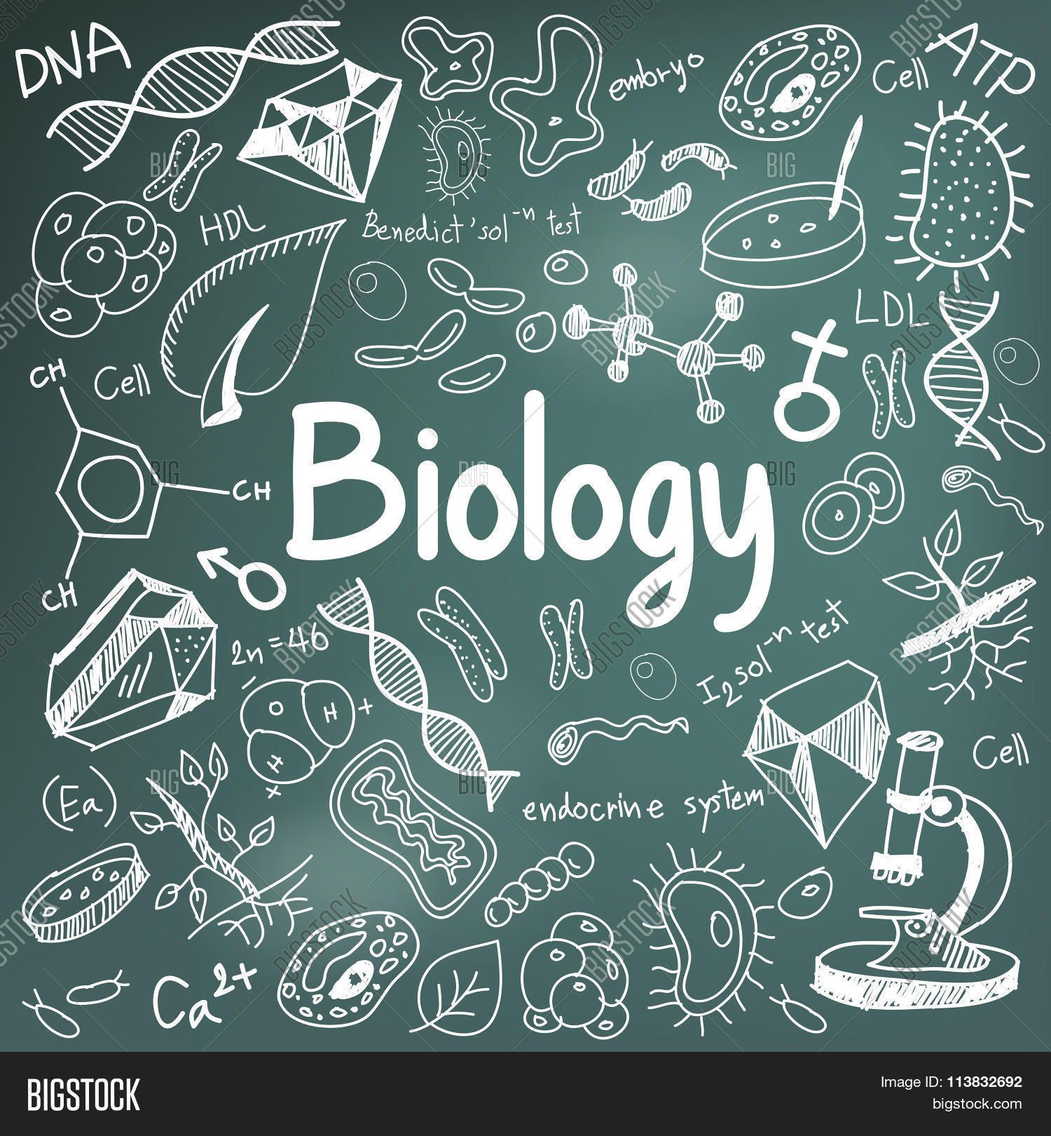 Detail Background Tentang Biologi Nomer 2