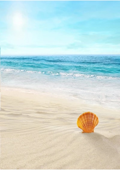 Detail Background Tepi Pantai Nomer 26
