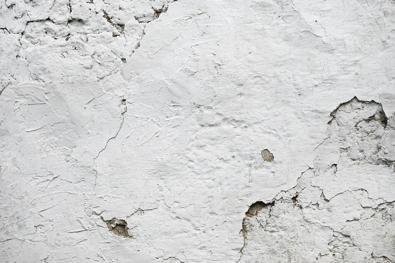 Detail Background Texture Putih Nomer 32