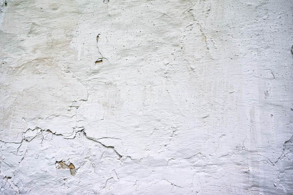 Detail Background Texture Putih Nomer 33