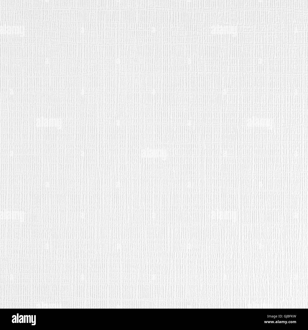 Detail Background Texture Putih Nomer 40