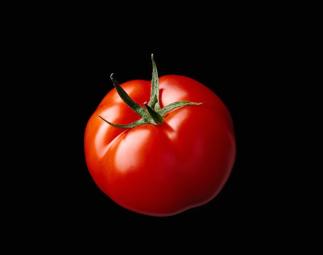 Detail Background Tomato Nomer 22