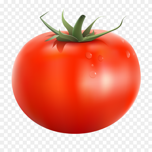 Detail Background Tomato Nomer 34