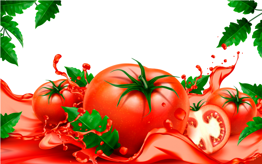 Detail Background Tomato Nomer 7